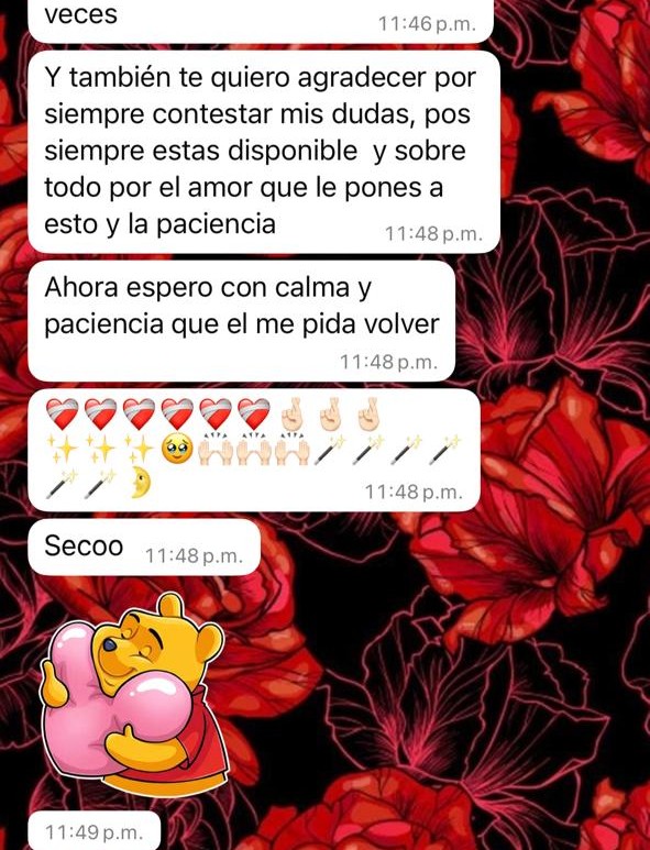Testimonio P2